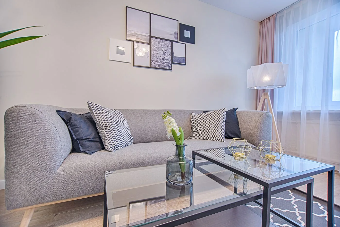 Grey sofa with a glass coffee table and a floor lamp in a bright living room